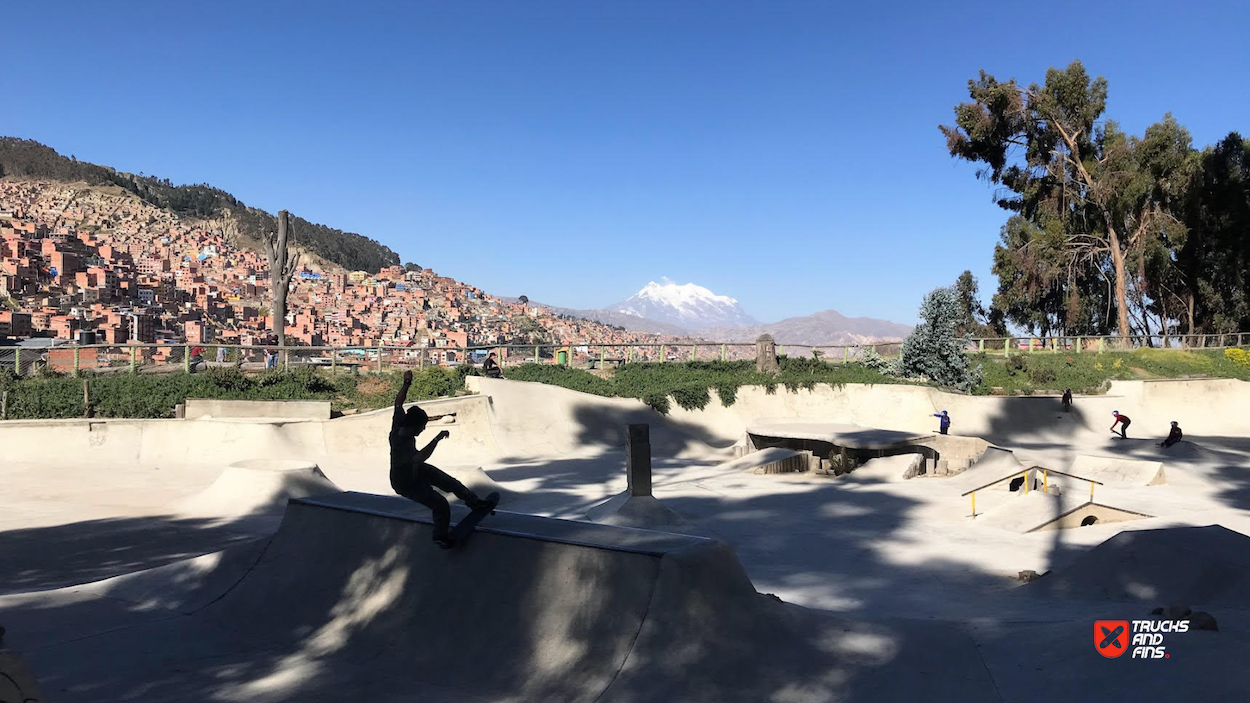 Pura Pura Skatepark